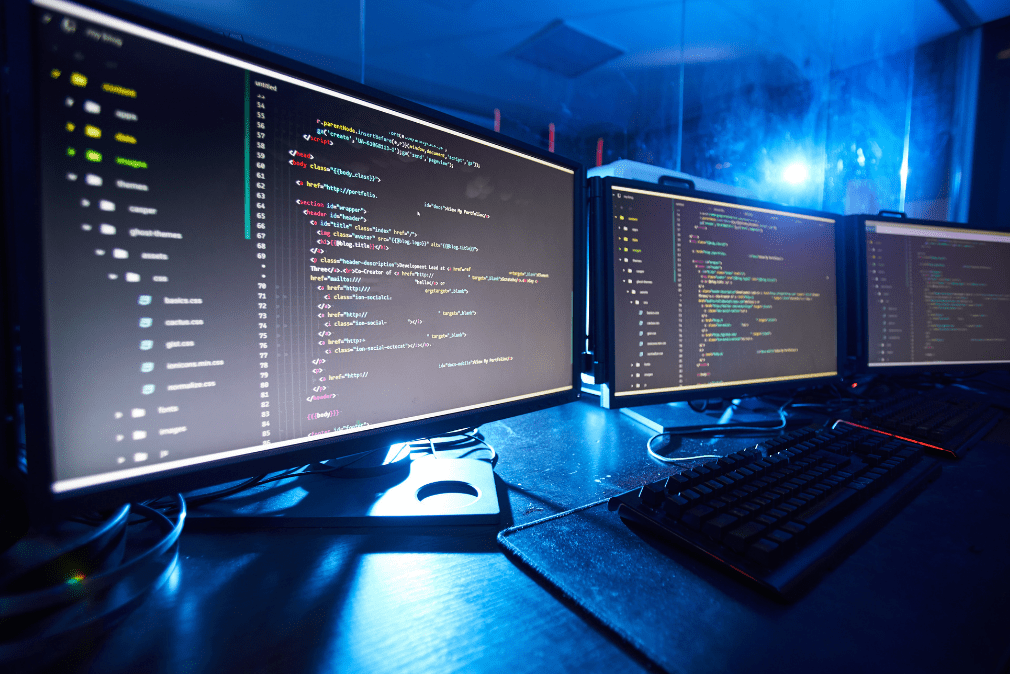 Software Development & Integration